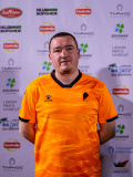 Роман Моисеев